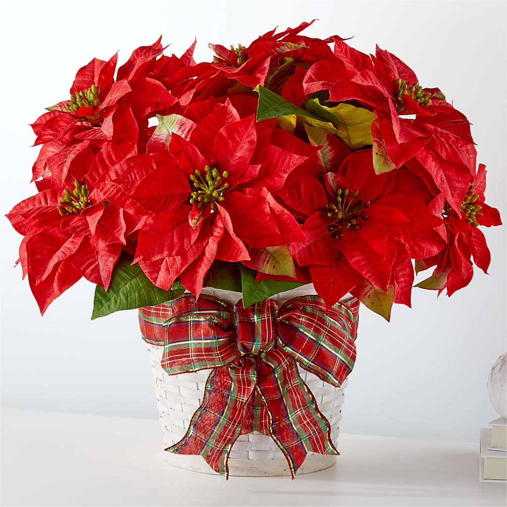 Happiest Holidays Poinsettia – Fleurs.ca, Quebec PQ