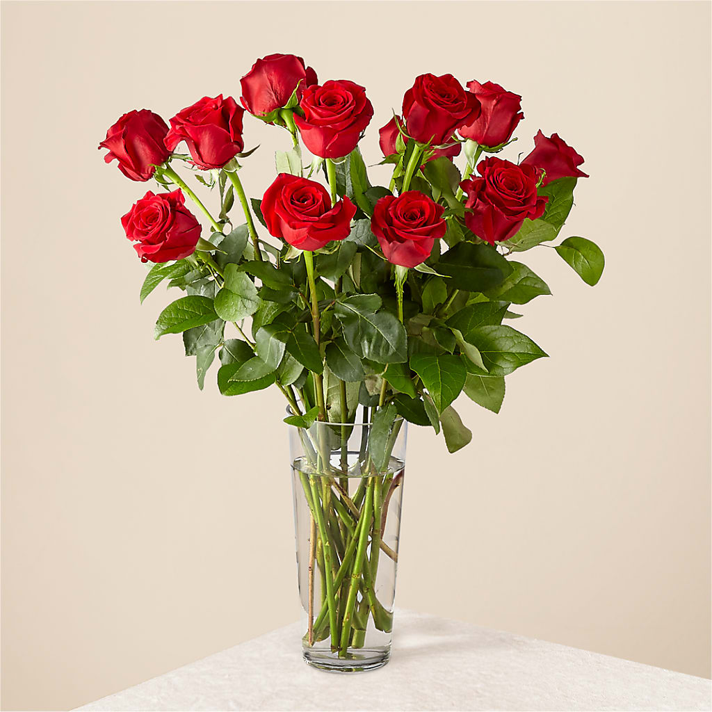 Long Stem Red Rose Bouquet – Fleurs.ca, Quebec PQ