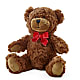 Adorable Plush Bear – Fleurs.ca, Quebec PQ