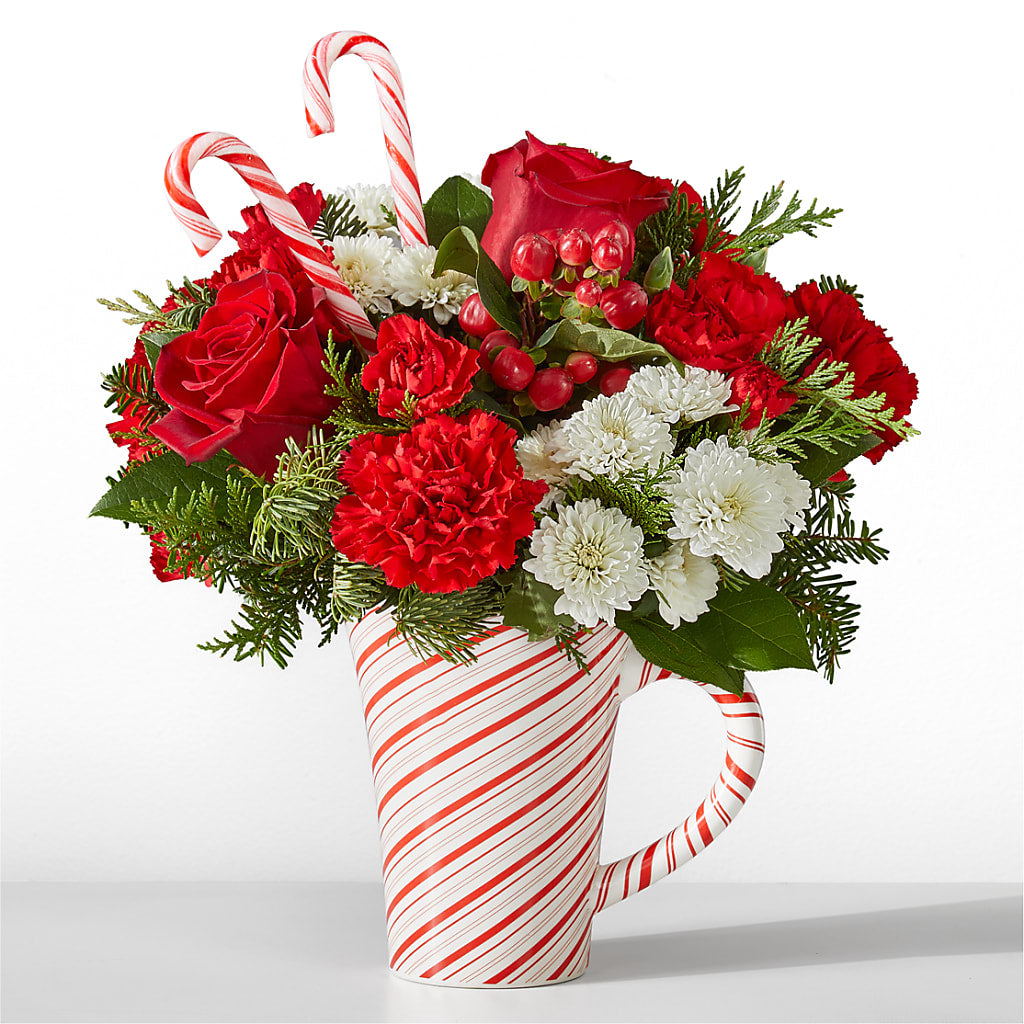 Peppermint Swirl Mug – Fleurs.ca, Quebec PQ