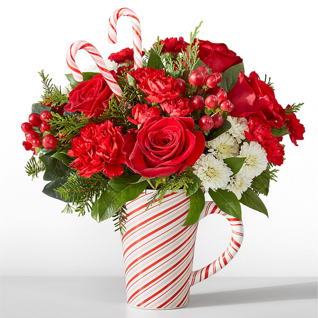 Peppermint Swirl Mug – Fleurs.ca, Quebec PQ