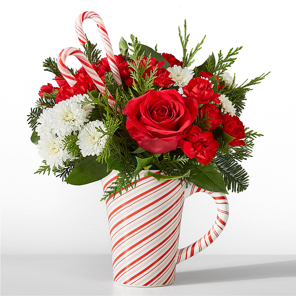 Peppermint Swirl Mug – Fleurs.ca, Quebec PQ