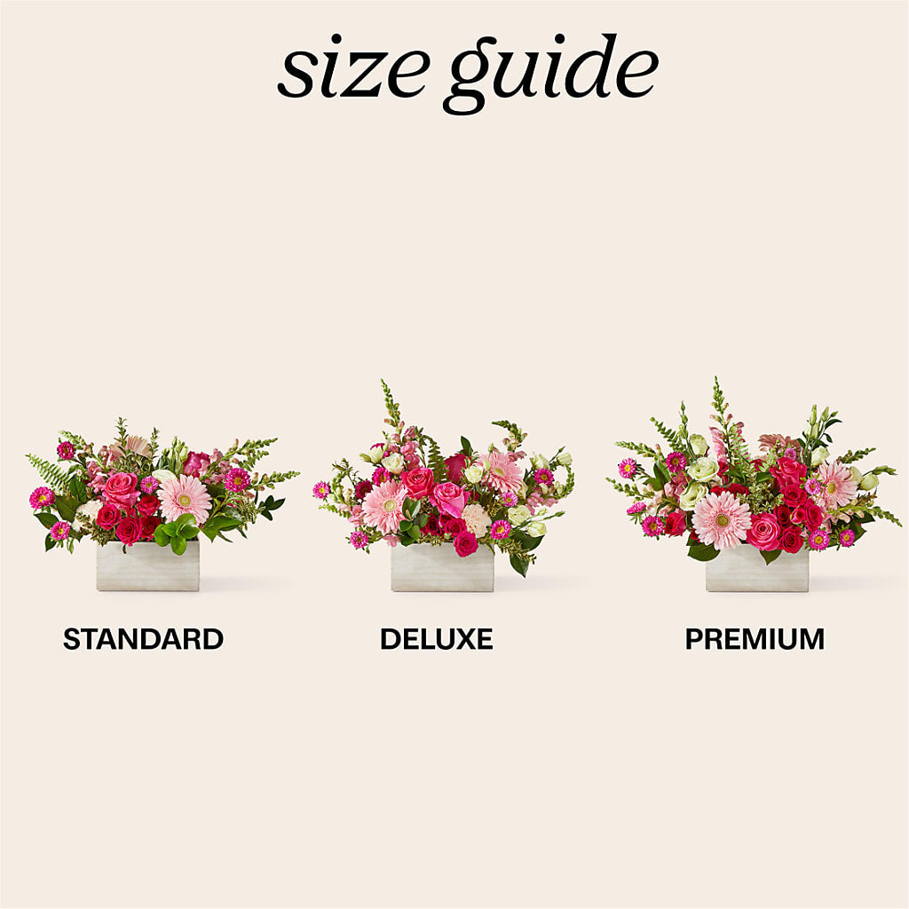 Too Cute Bouquet – Fleurs.ca, Quebec PQ