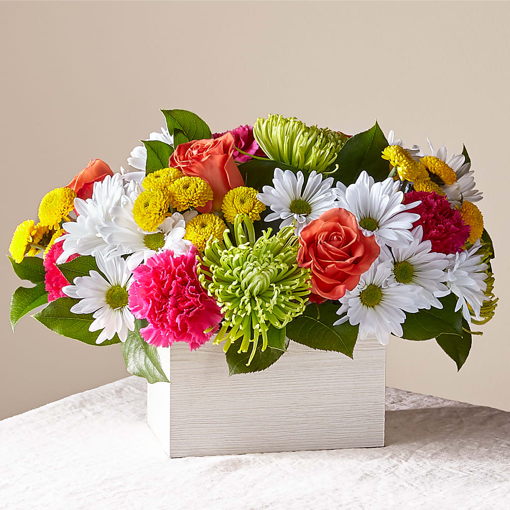 Sorbet Bouquet – Fleurs.ca, Quebec PQ