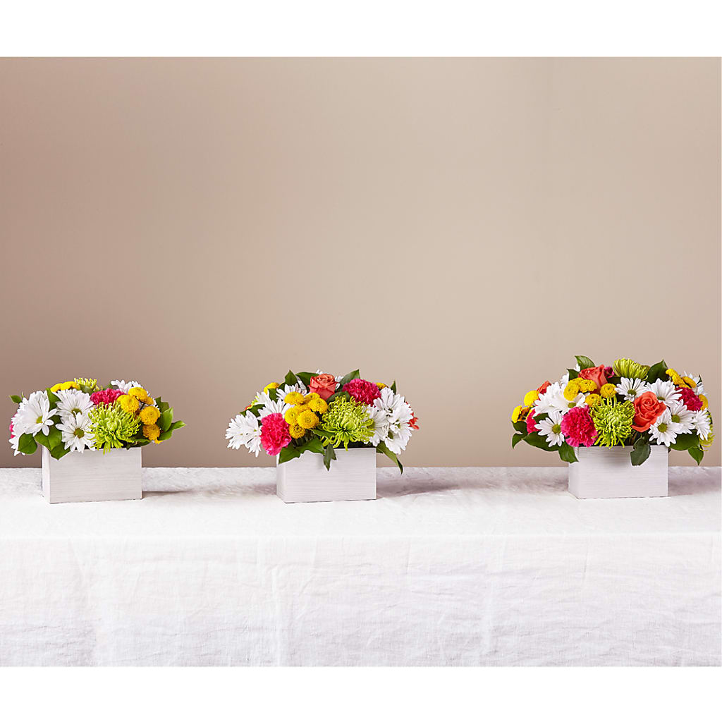 Sorbet Bouquet – Fleurs.ca, Quebec PQ