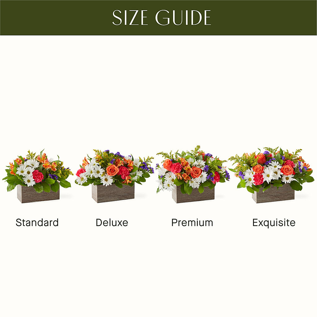 Oopsie Daisy Box Bouquet – Fleurs.ca, Quebec PQ