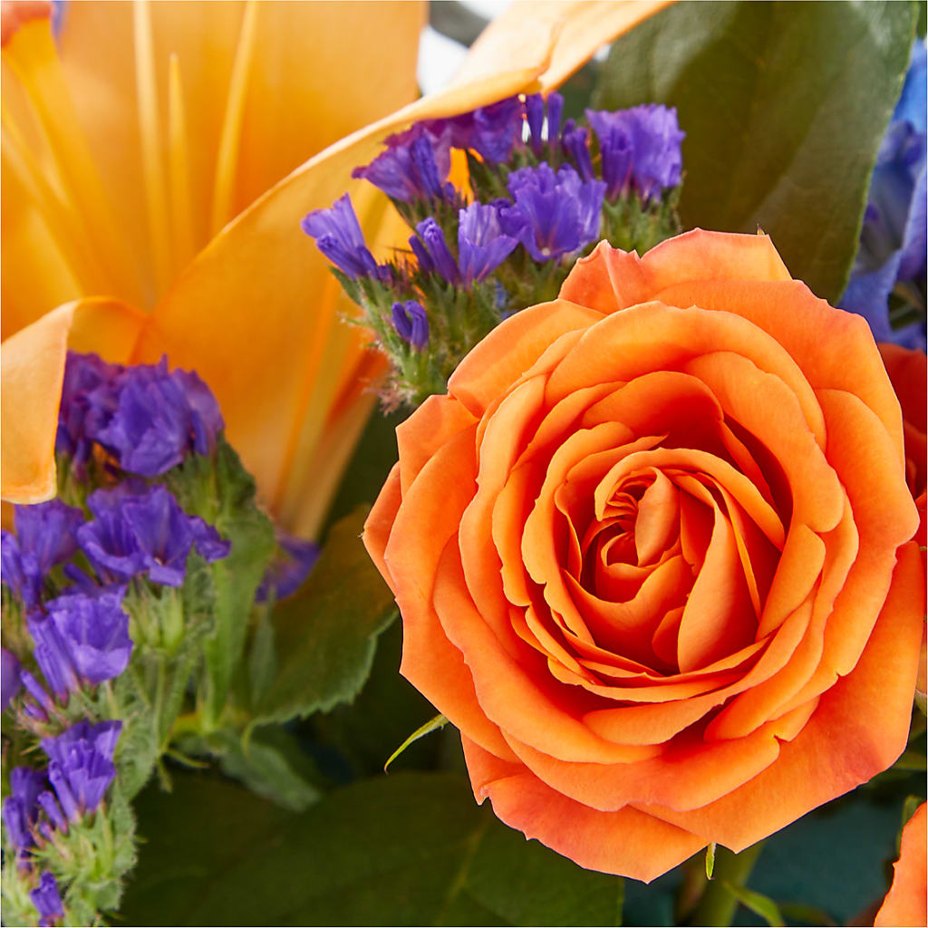 Radiant Citrus Box Bouquet – Fleurs.ca, Quebec PQ
