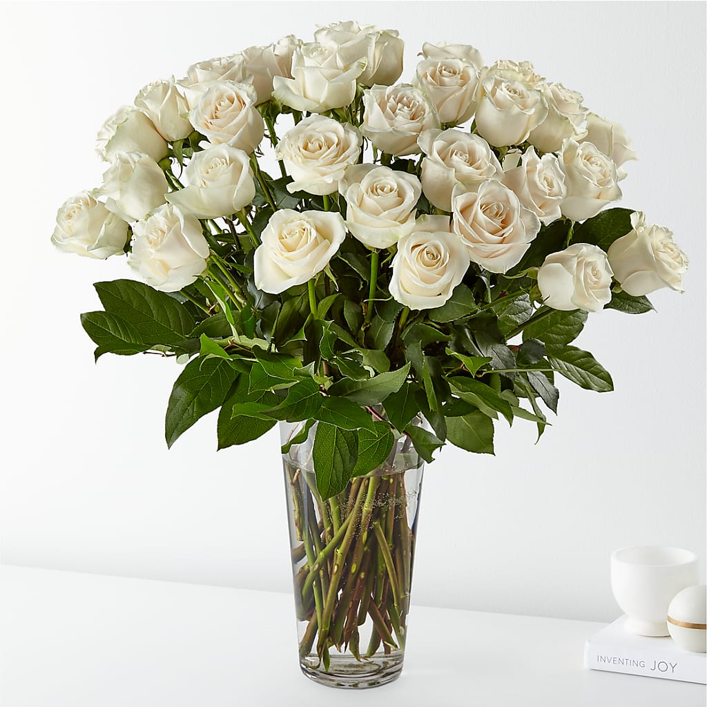 Long Stem White Rose Bouquet – Fleurs.ca, Quebec PQ