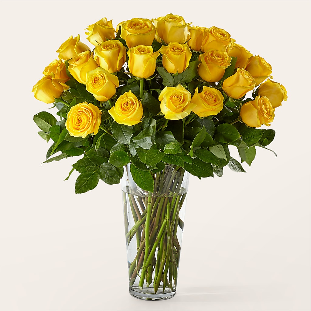 Long Stem Yellow Rose Bouquet – Fleurs.ca, Quebec PQ