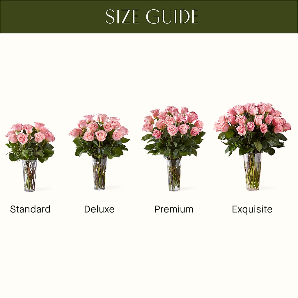 Long Stem Pink Rose Bouquet – Fleurs.ca, Quebec PQ