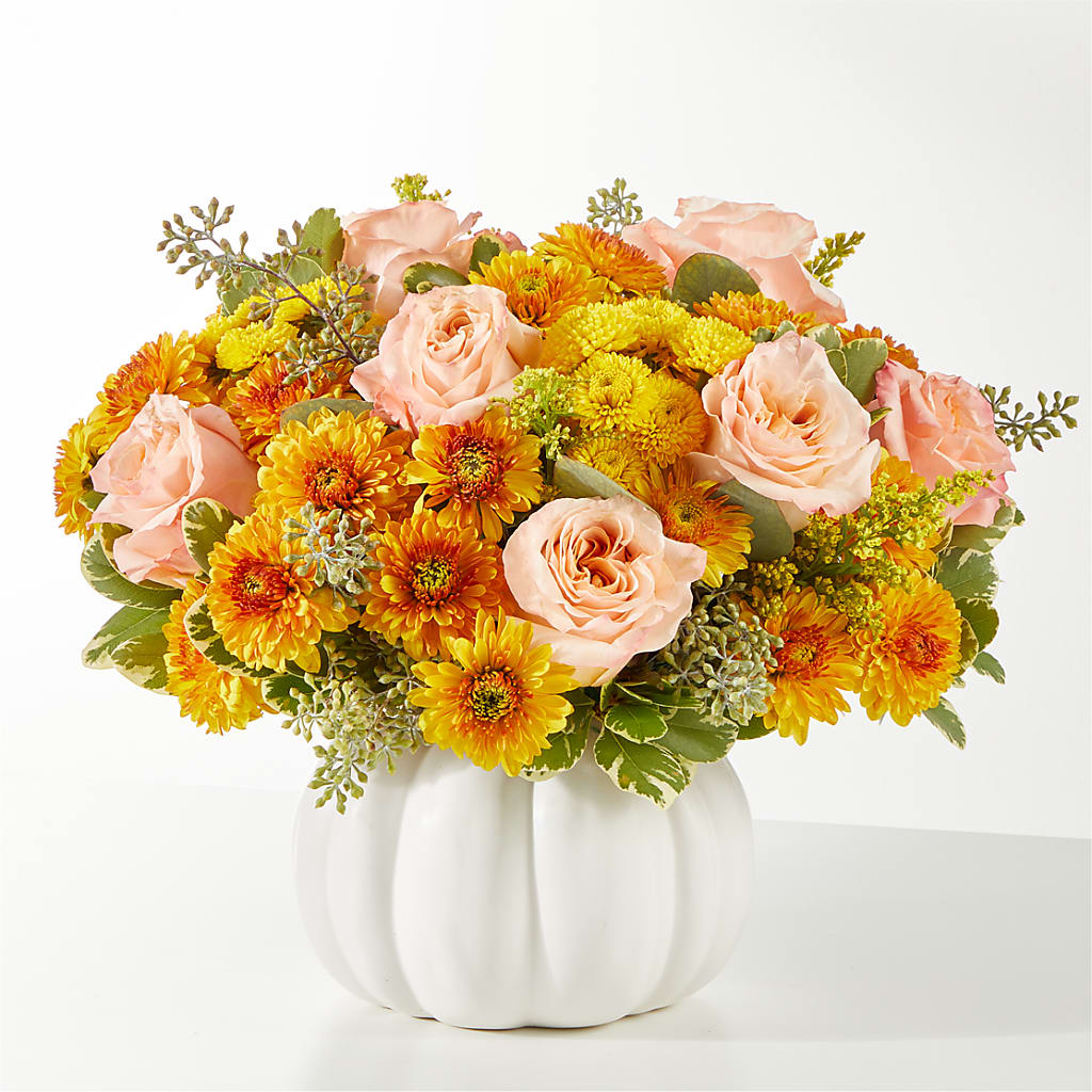Peachy Pumpkin – Fleurs.ca, Quebec PQ