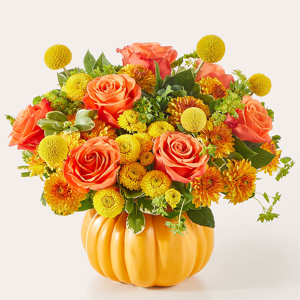 Gourdgeous Pumpkin – Fleurs.ca, Quebec PQ