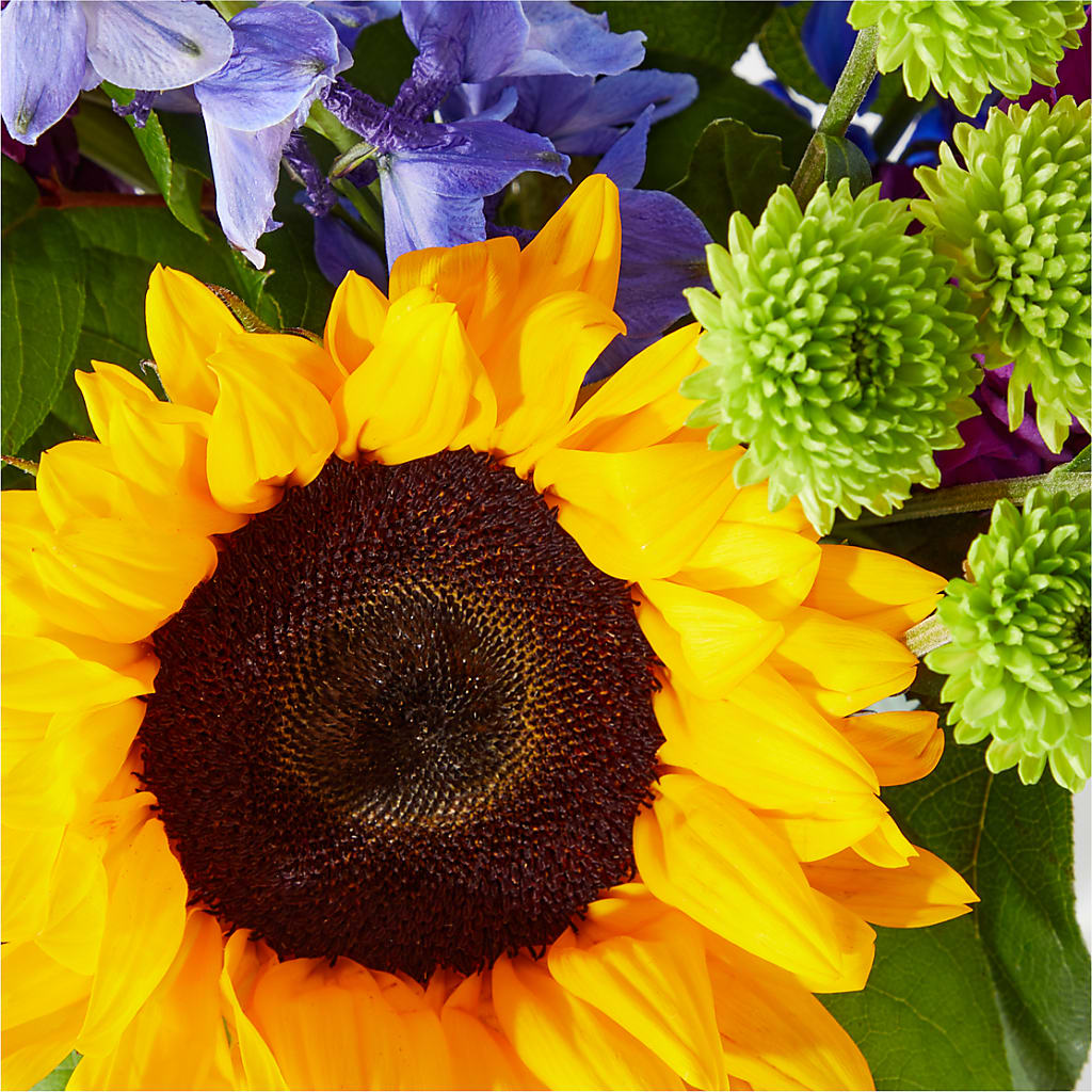 Catching Rays Bouquet – Fleurs.ca, Quebec PQ
