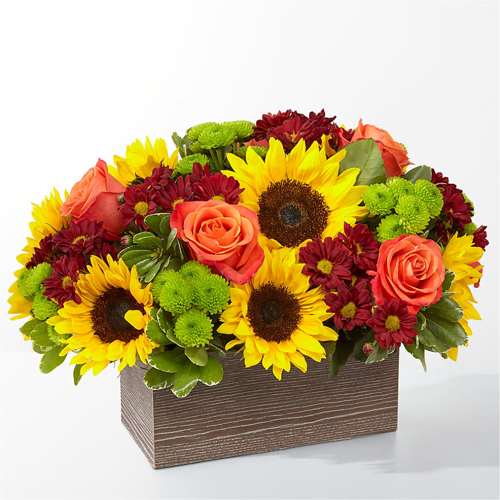 Happy Harvest Garden – Fleurs.ca, Quebec PQ