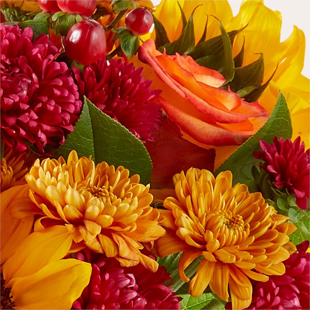 Sweater Season - A Florist Original – Fleurs.ca, Quebec PQ