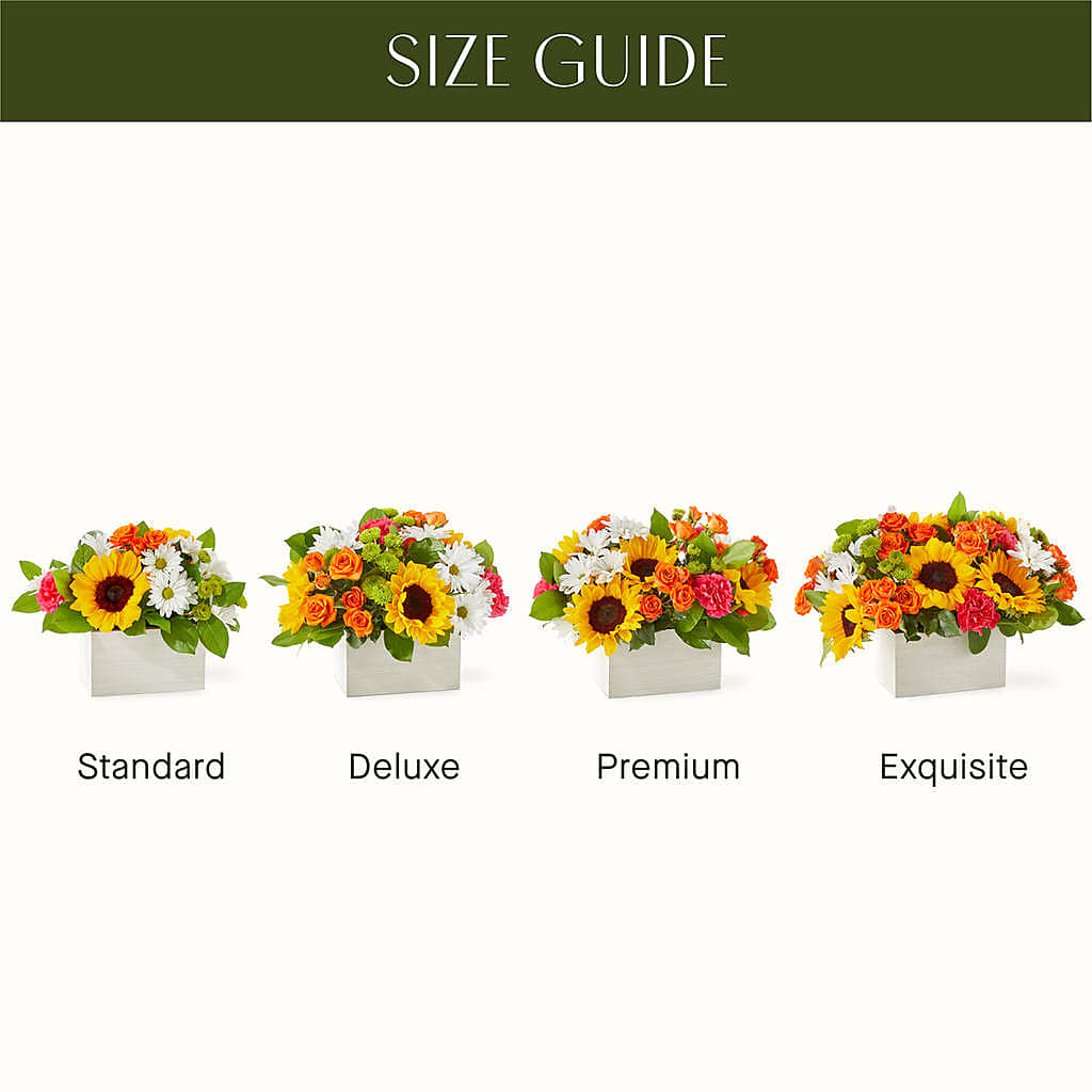 Sun-drenched Blooms Box Bouquet – Fleurs.ca, Quebec PQ