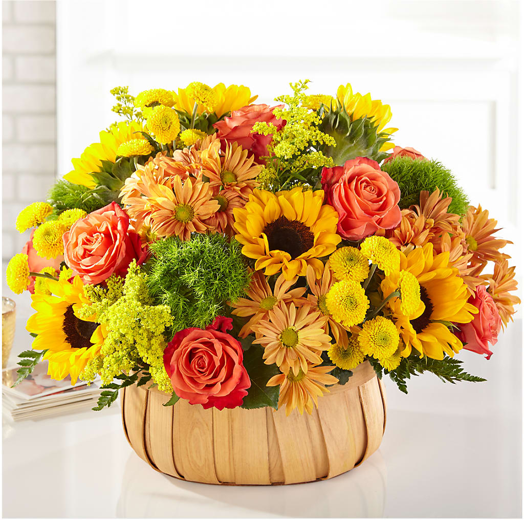 Harvest Sunflower Basket – Fleurs.ca, Quebec PQ