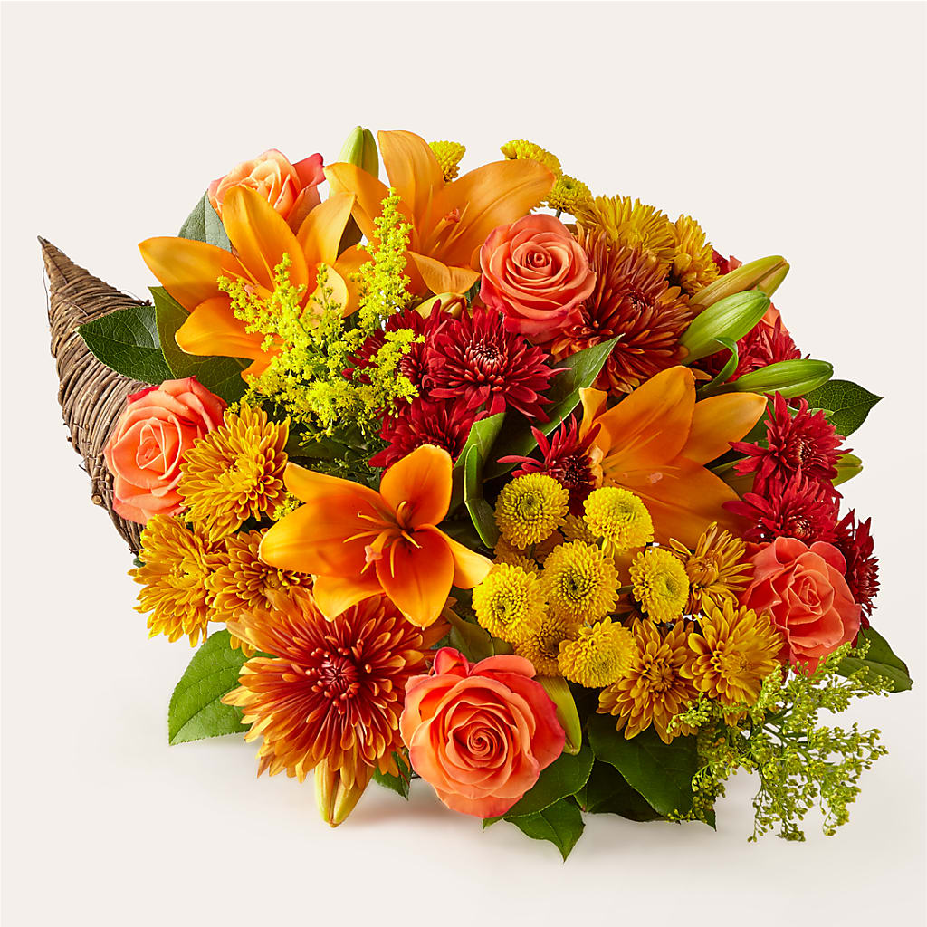 Feast of Color Cornucopia – Fleurs.ca, Quebec PQ