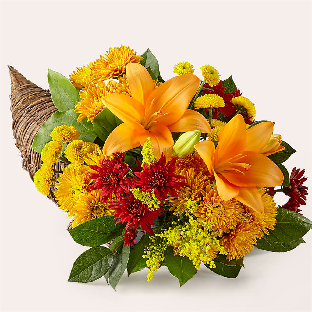 Feast of Color Cornucopia – Fleurs.ca, Quebec PQ