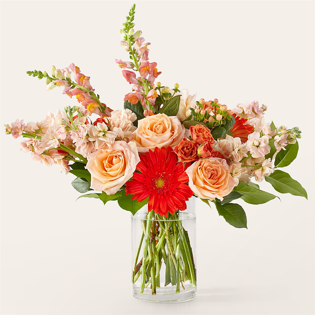 Paloma Please Bouquet – Fleurs.ca, Quebec PQ