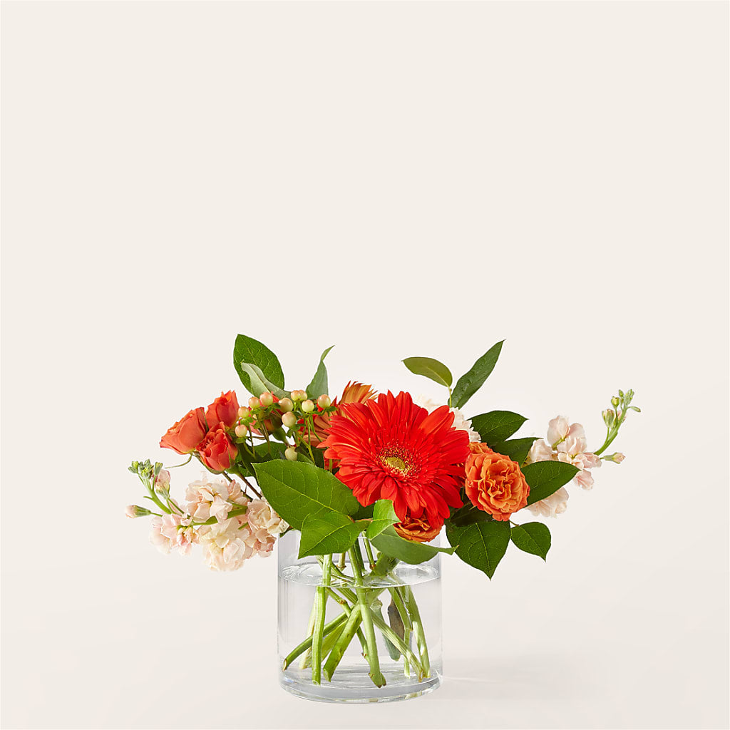 Paloma Please Bouquet – Fleurs.ca, Quebec PQ