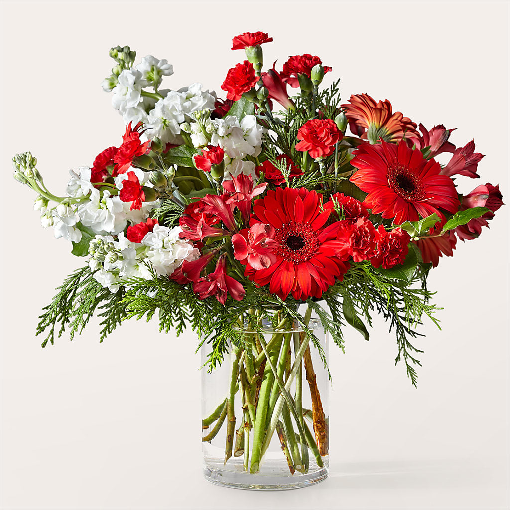 Holidaisy Bouquet – Fleurs.ca, Quebec PQ