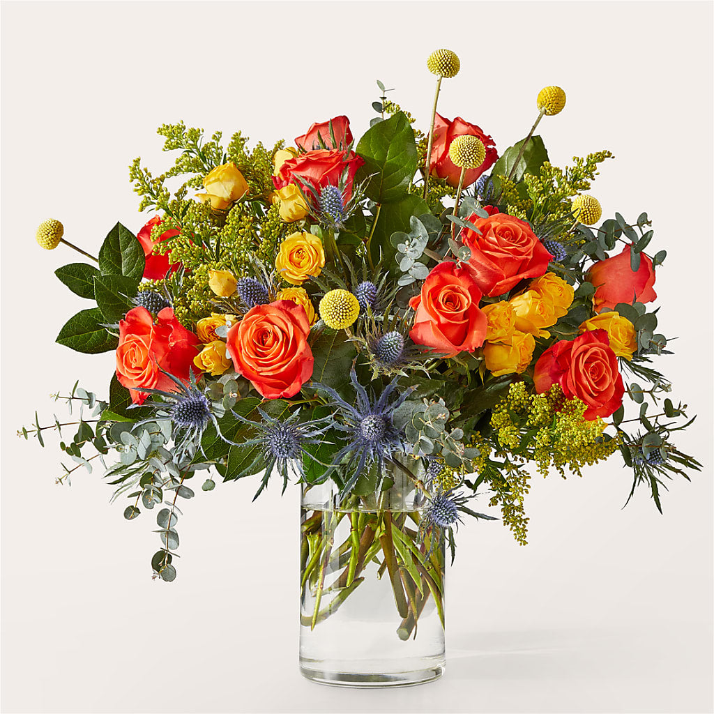 Disco Bouquet – Fleurs.ca, Quebec PQ