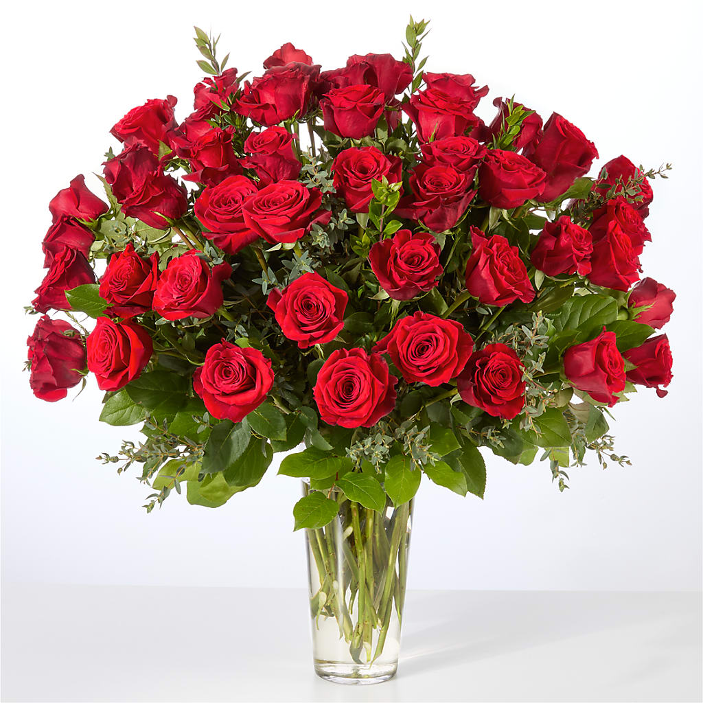 Forever Yours Fifty Stem Red Rose Bouquet – Fleurs.ca, Quebec PQ