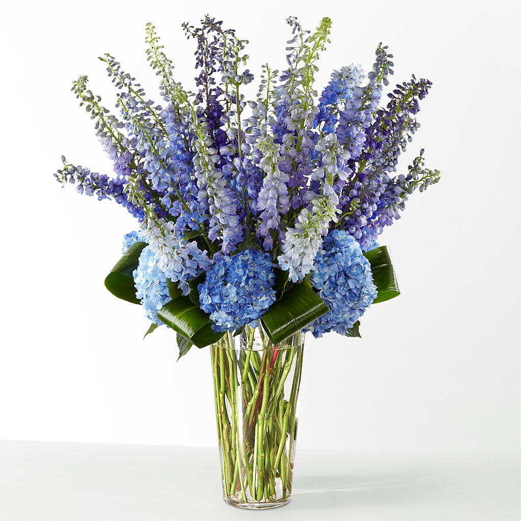 The Editorial – Fleurs.ca, Quebec PQ