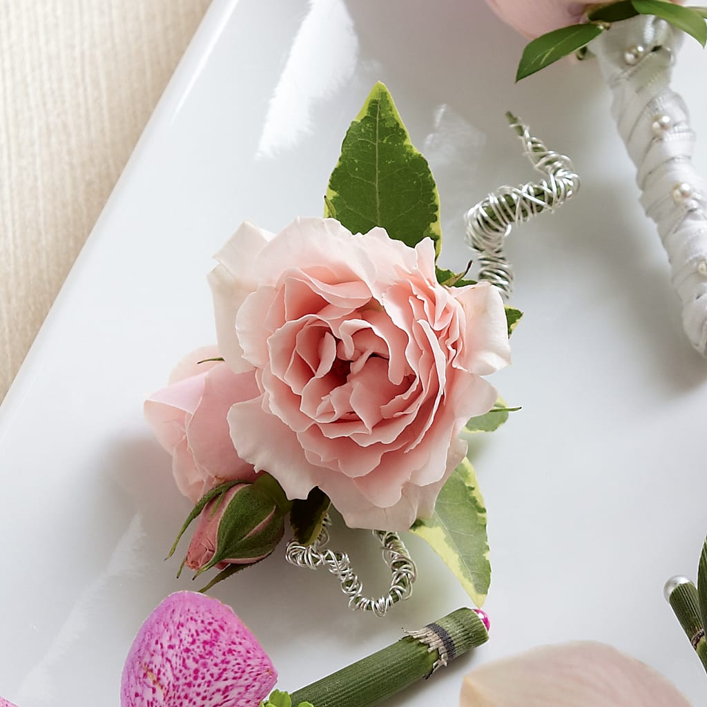 Pink Spray Rose Boutonniere – Fleurs.ca, Quebec PQ