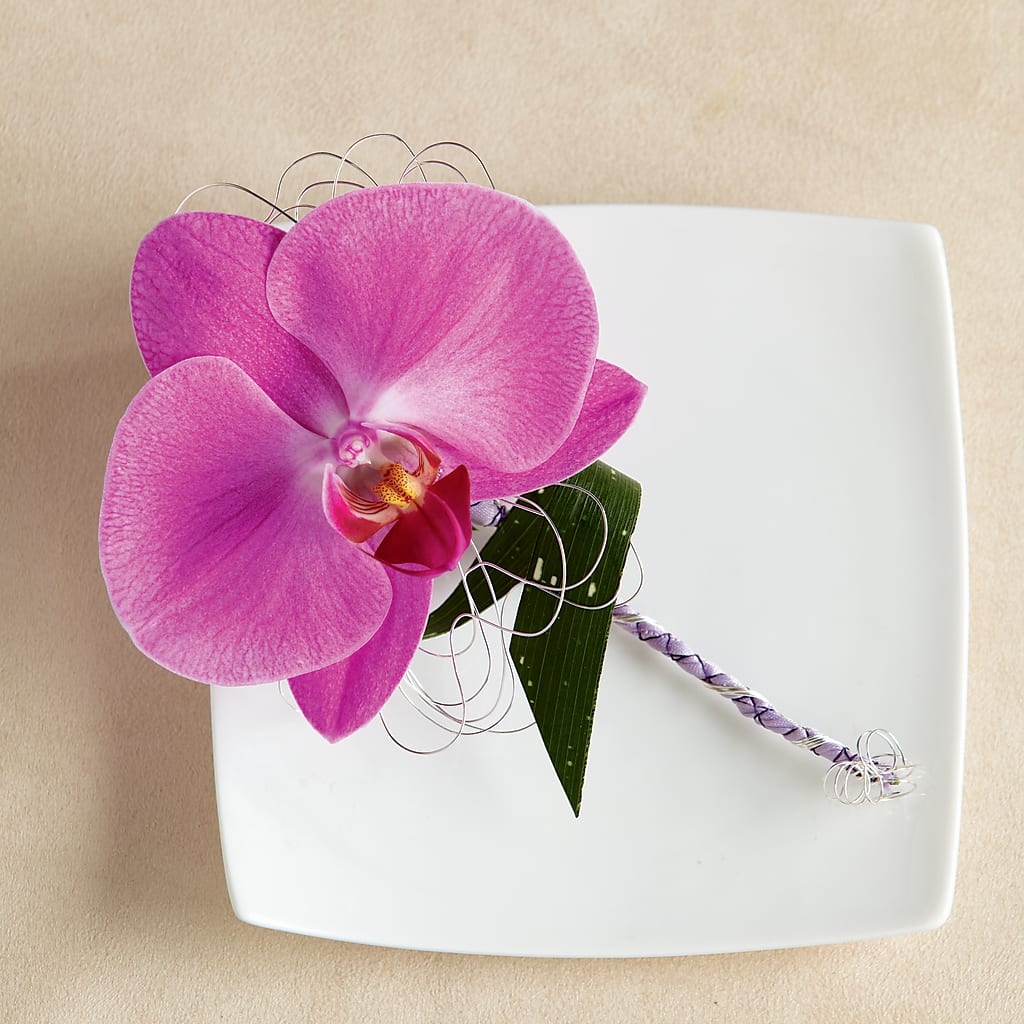 Glorious Boutonniere – Fleurs.ca, Quebec PQ