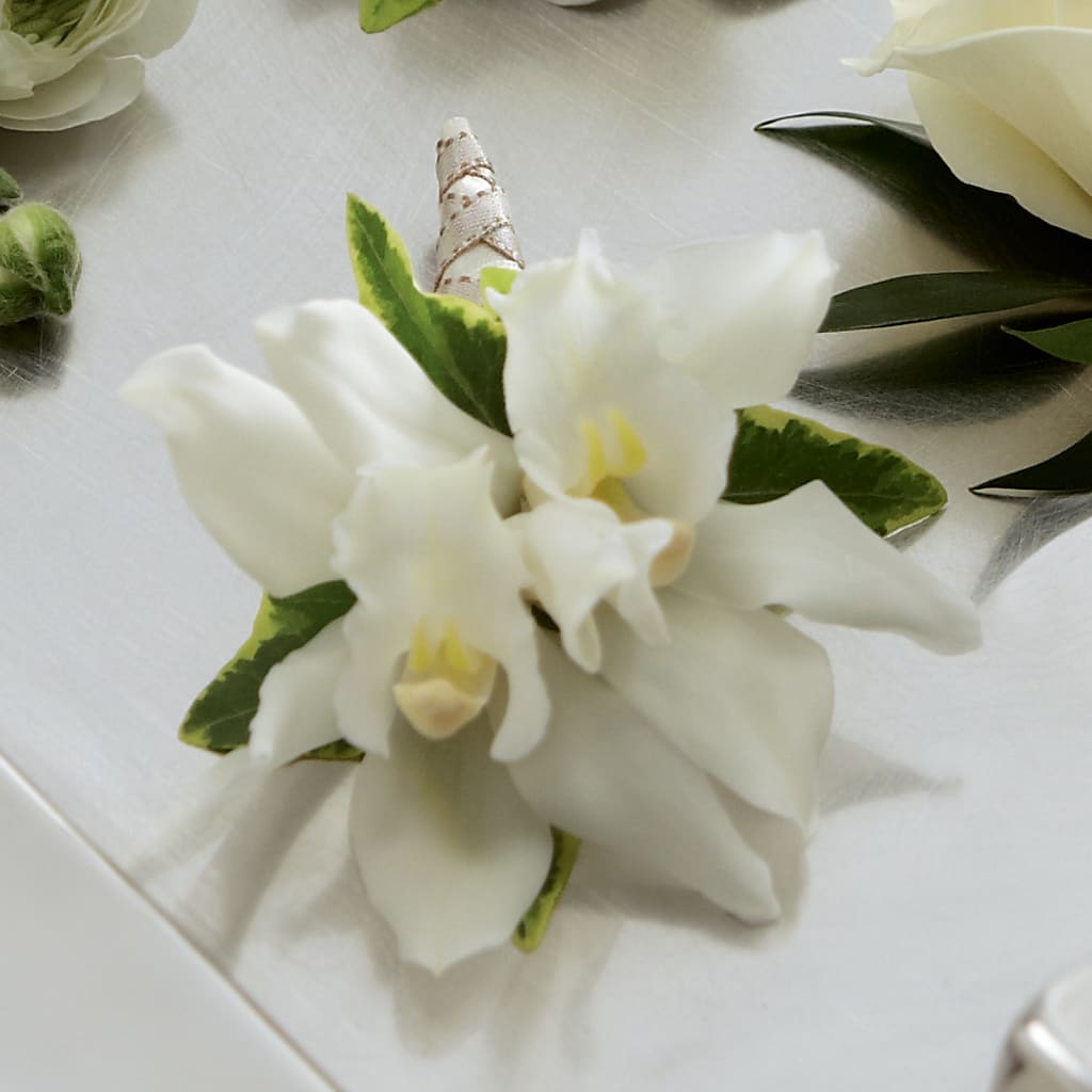 White Mini Cymbidium Boutonniere – Fleurs.ca, Quebec PQ