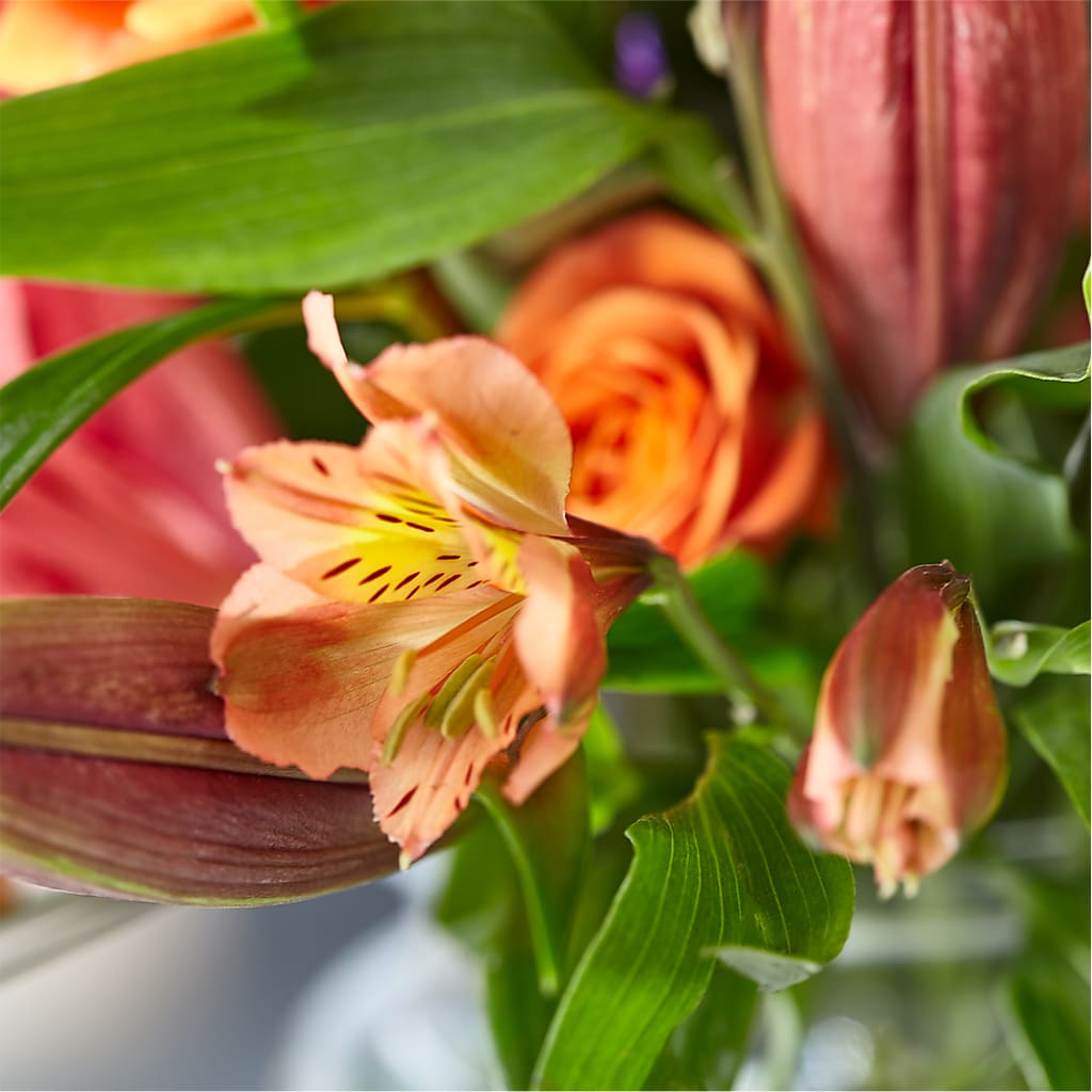 Bold & Bright – A Florist Original –  Fleurs.ca, Quebec PQ