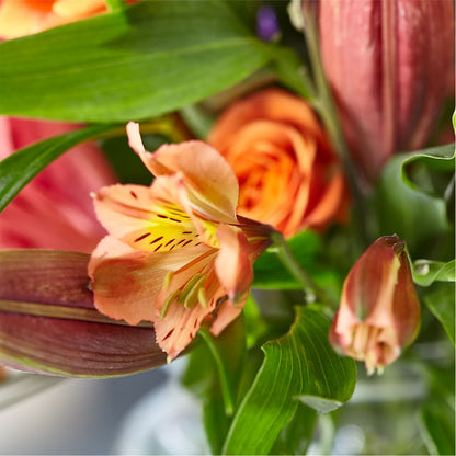 Bold & Bright – A Florist Original –  Fleurs.ca, Quebec PQ