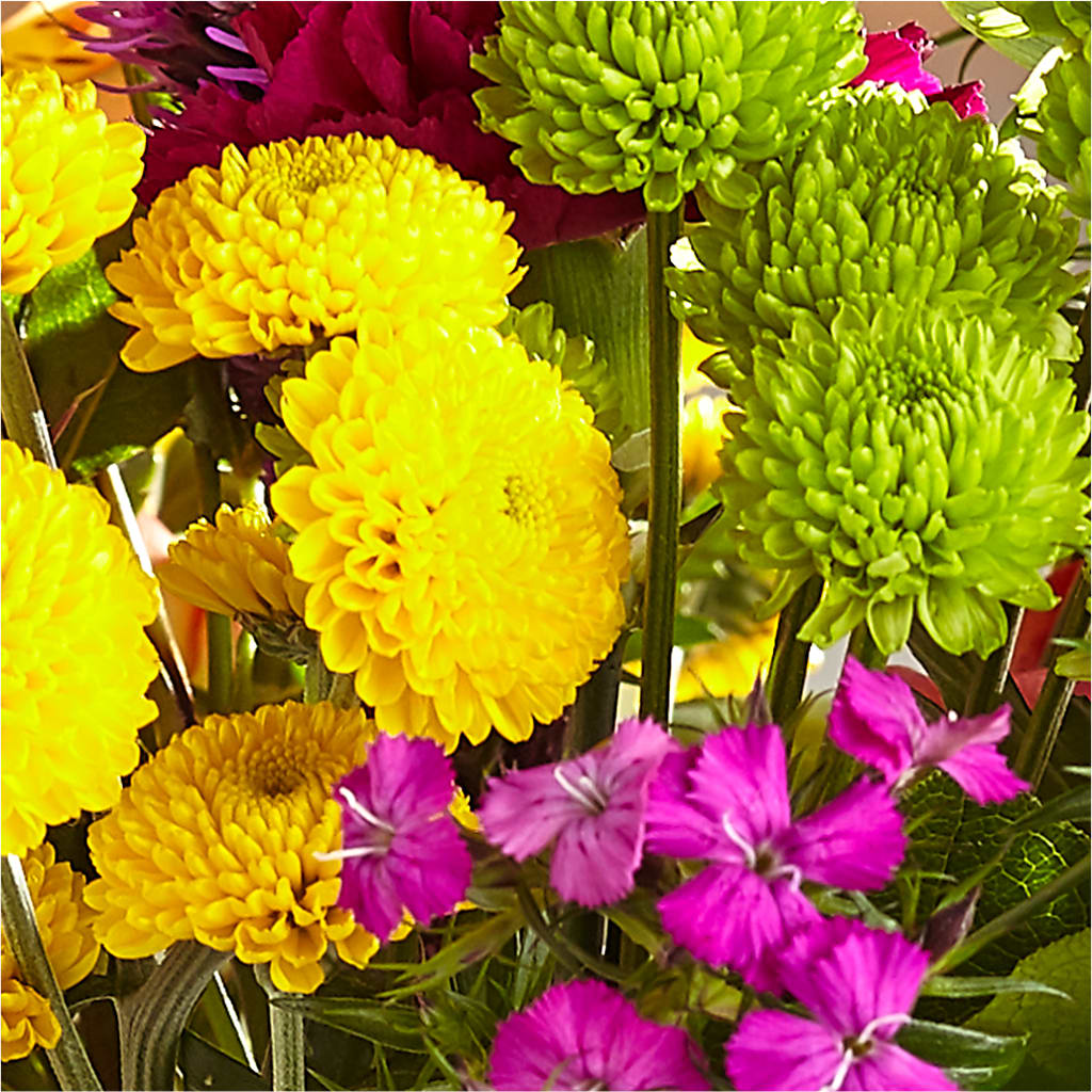 Bold & Bright – A Florist Original –  Fleurs.ca, Quebec PQ