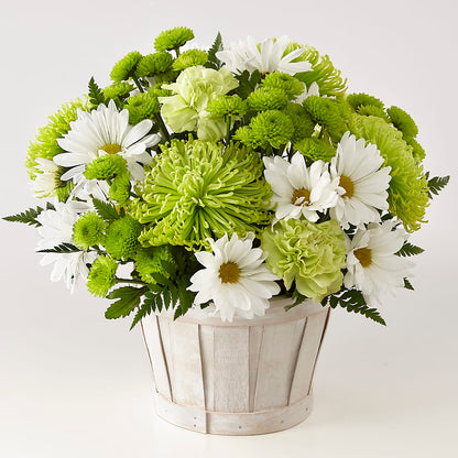 Lucky Charm Basket (Standard) –  Fleurs.ca, Quebec PQ