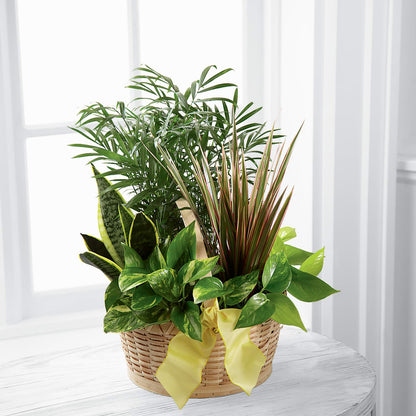 French Garden –  Fleurs.ca, Quebec PQ