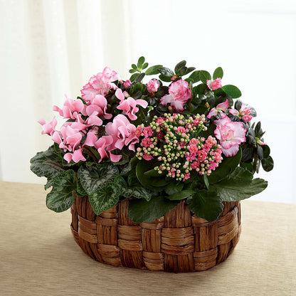 Pink Assortment –  Fleurs.ca, Quebec PQ