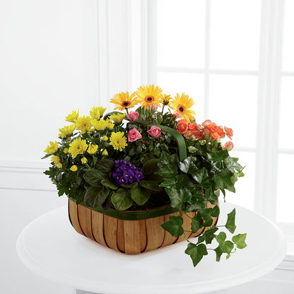 Gentle Blossoms Basket –  Fleurs.ca, Quebec PQ
