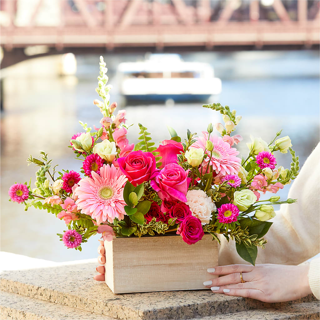 Too Cute Bouquet –  Fleurs.ca, Quebec PQ