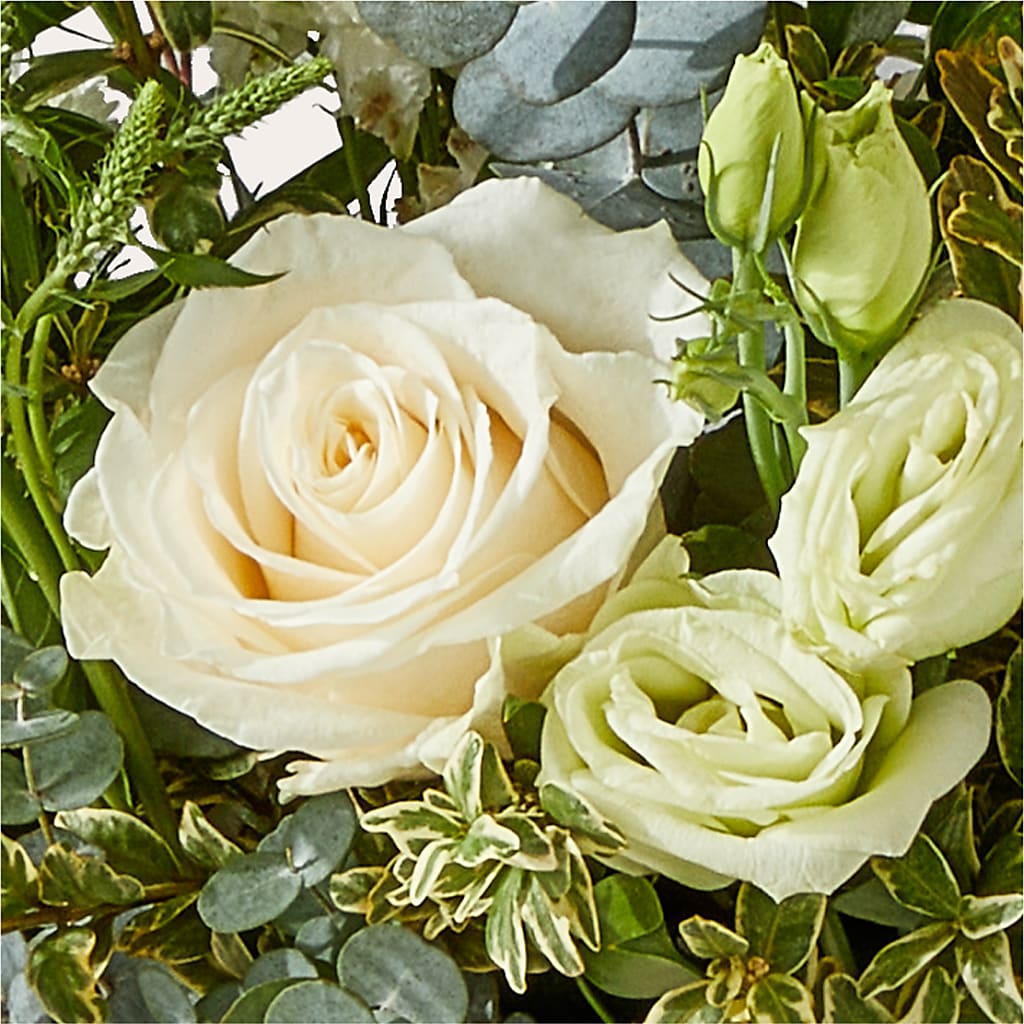 Cashmere Bouquet –  Fleurs.ca, Quebec PQ