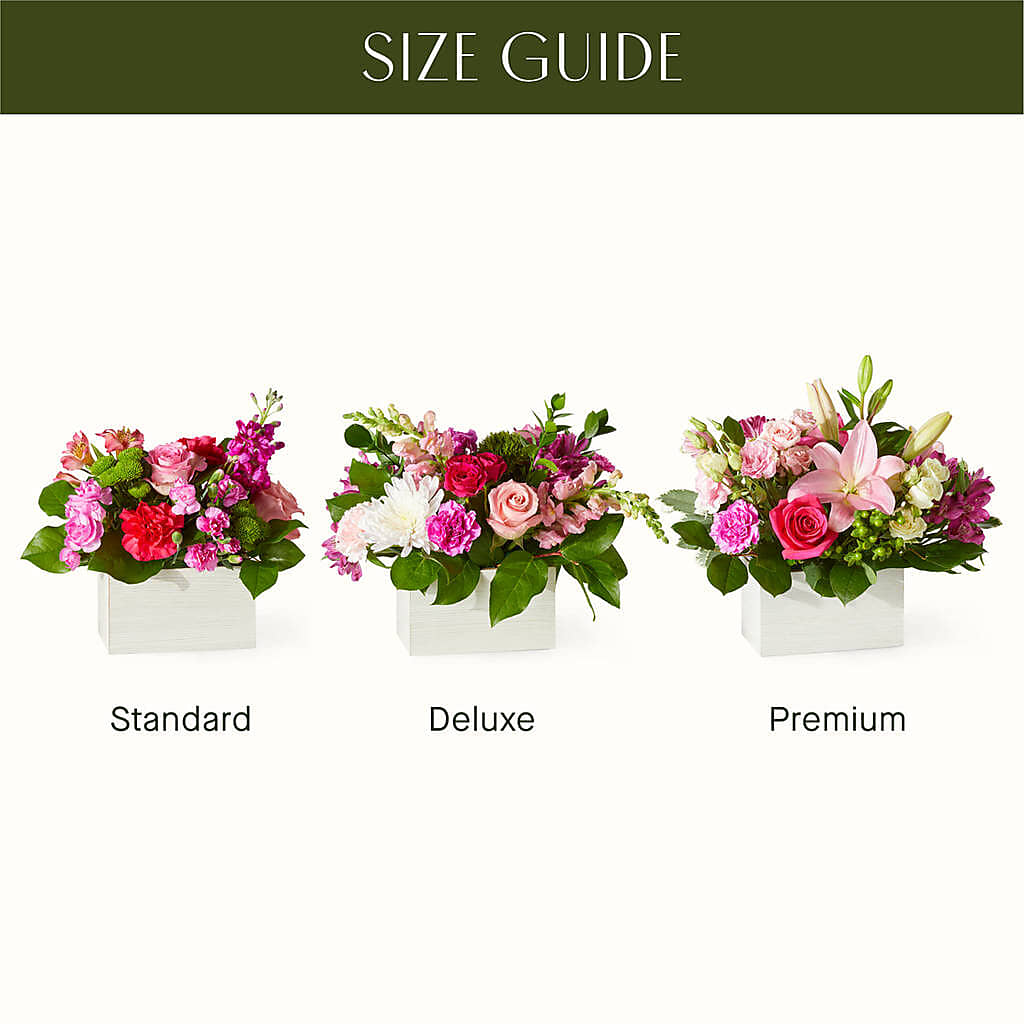 Sweetberry Box – A Florist Original –  Fleurs.ca, Quebec PQ