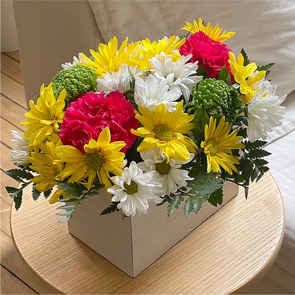Sorbet Bouquet –  Fleurs.ca, Quebec PQ