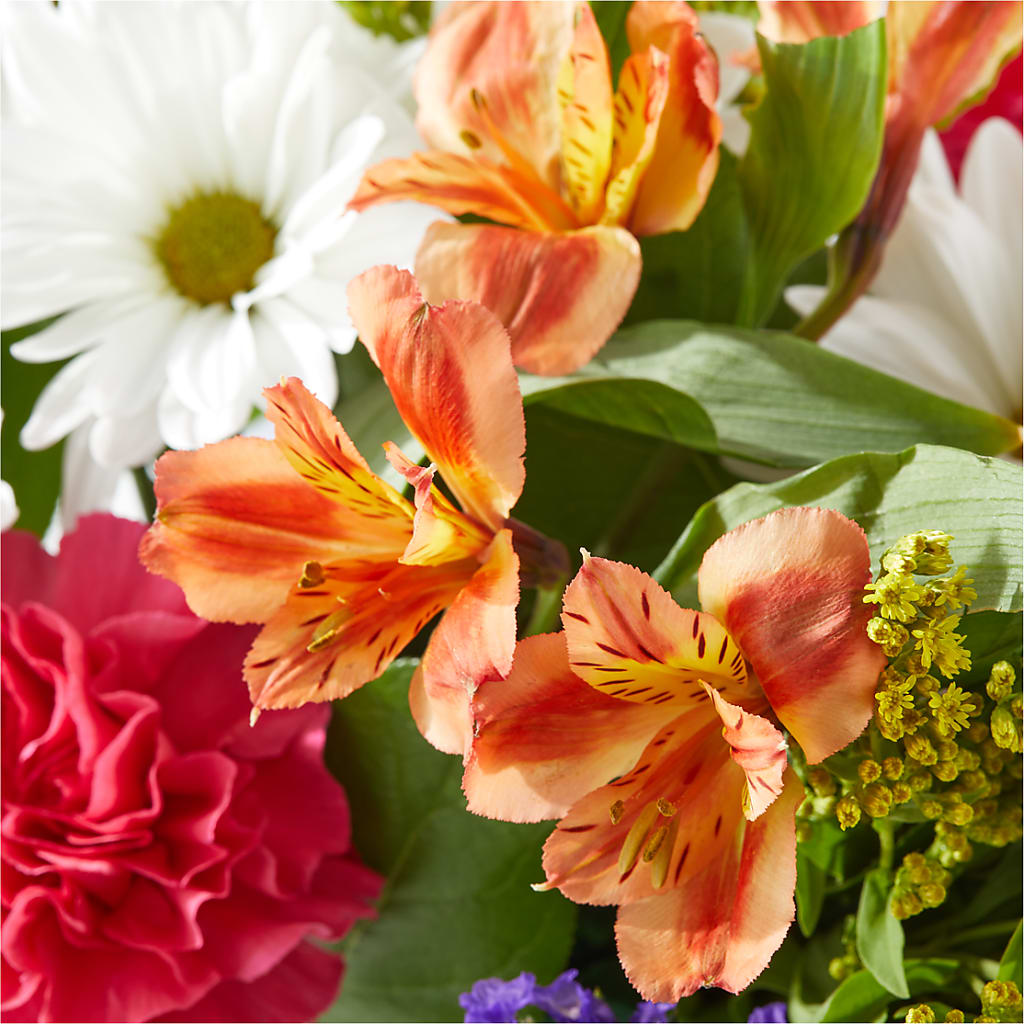 Oopsie Daisy Box Bouquet –  Fleurs.ca, Quebec PQ