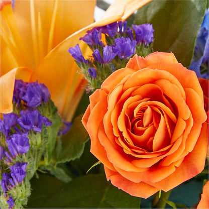 Radiant Citrus Box Bouquet –  Fleurs.ca, Quebec PQ