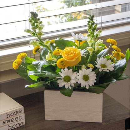 Sun Salutation Box Bouquet –  Fleurs.ca, Quebec PQ