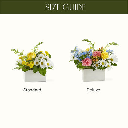 Sun Salutation Box Bouquet –  Fleurs.ca, Quebec PQ