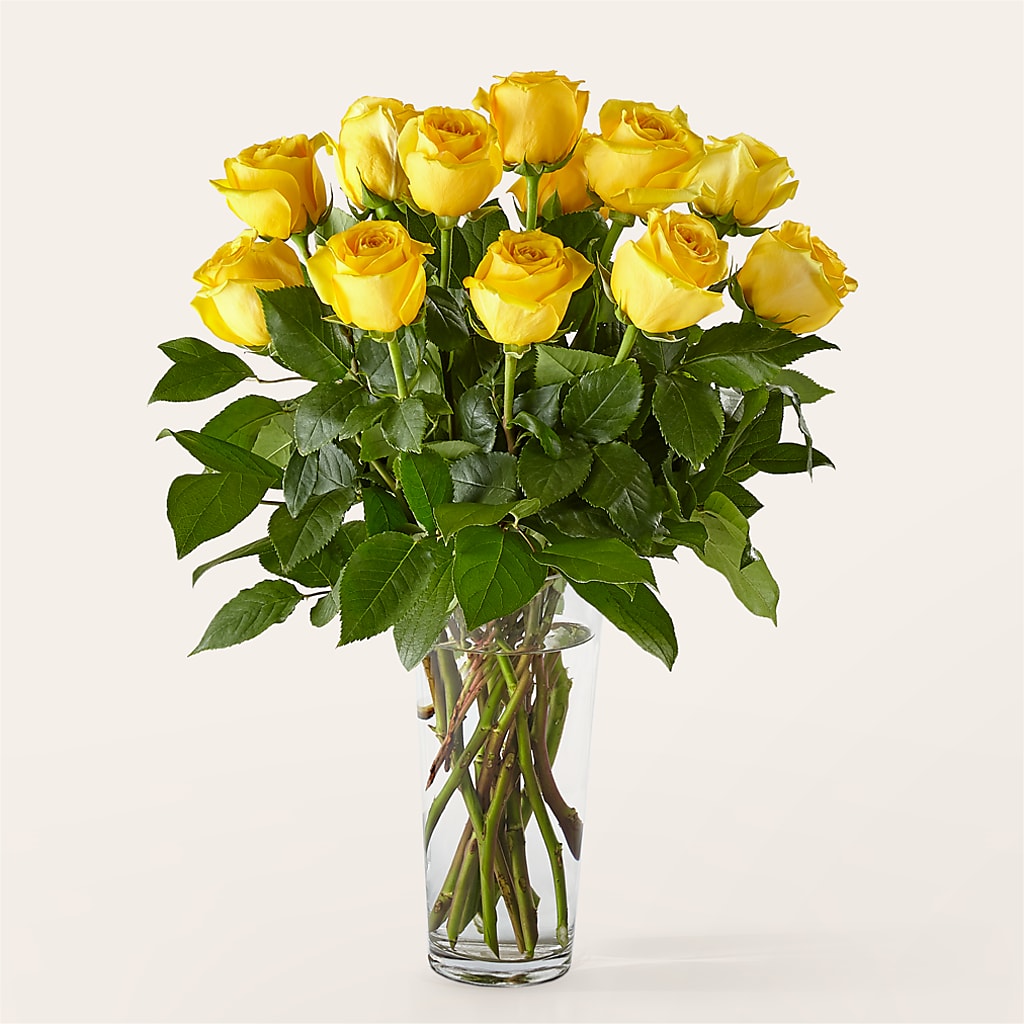 Long Stem Yellow Rose Bouquet –  Fleurs.ca, Quebec PQ