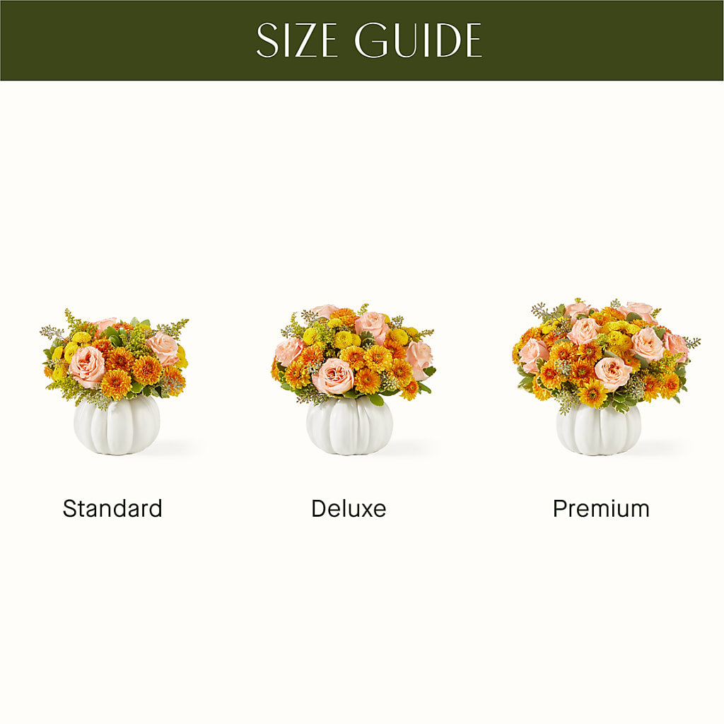 Peachy Pumpkin –  Fleurs.ca, Quebec PQ