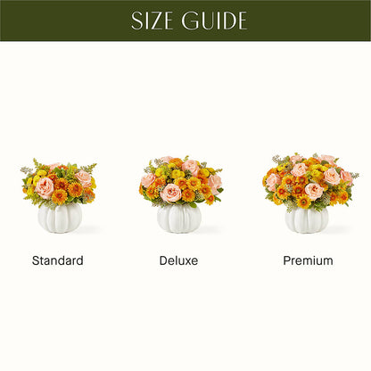 Peachy Pumpkin –  Fleurs.ca, Quebec PQ